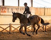 xx FZ TosTour2013- S5 3130 : Arezzo, Arezzo Equestrian Centre, Cavalli d'Italia, Toscana Tour 2013, foto di Stefano Secchi ©, xx FZ